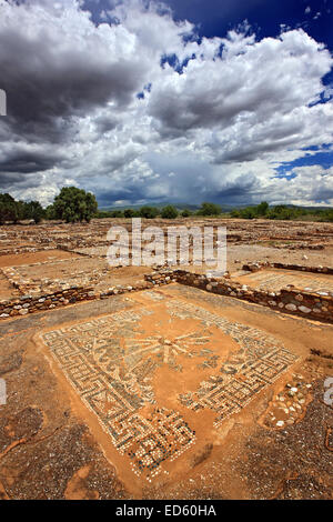 Belle mosaïque à Ancient Olynthos (Olynthus), municipalité, Polygyros ('Halkidiki Chalkidiki'), la Macédoine, la Grèce. Banque D'Images