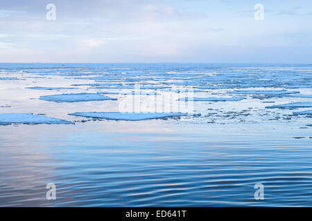 Paysage côtier d'hiver avec de gros fragments de glace flottant sur l'eau encore froide. Golfe de Finlande, Russie Banque D'Images