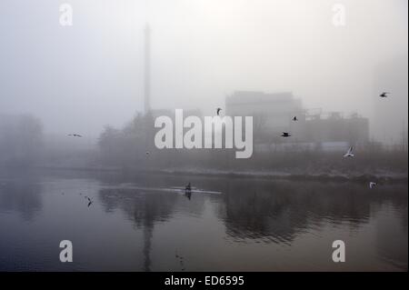 Glasgow, Ecosse, Royaume-Uni. Dec 29, 2014. Un brave la rameuse du brouillard givrant sur la rivière Clyde Crédit : Tony Clerkson/Alamy Live News Banque D'Images