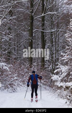 Une skieuse skis à travers une forêt enneigée dans Moritzburg près de Dresde, Allemagne 29 décembre 2014. PHOTO : SEBASTIAN KAHNERT/dpa Banque D'Images