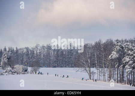 Karslruhe, Allemagne. 28 Dec, 2014. Après chute de neige noël apporte des skieurs et tobogganers et leurs animaux domestiques. Dobel, Forêt Noire, Allemagne. Crédit : Guy Bell/Alamy Live News Banque D'Images