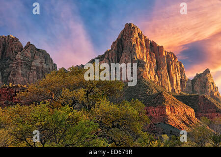 Automne coucher de soleil sur la sentinelle dans l'Utah Zion National Park. Banque D'Images