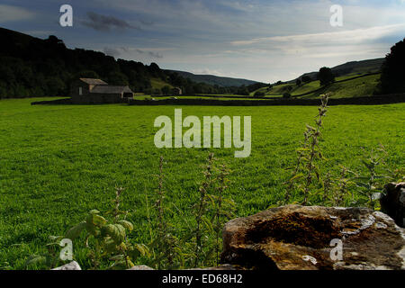 Une scène typique de Swaledale dans le Yorkshire Dales National Park, North Yorkshire. Banque D'Images