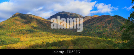 Campbell surplombent, Great Smoky Mountains National Park, California, USA Banque D'Images