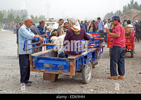 Les agriculteurs ouïghours avec voiturettes motorisées chargées avec des moutons qui arrivent à le marché aux bestiaux de Kashgar / Kashi, la Province du Xinjiang, Chine Banque D'Images