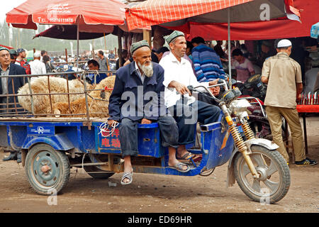 Les agriculteurs ouïghours avec voiturette motorisée chargé avec des moutons au marché aux bestiaux de Kashgar / Kashi, la Province du Xinjiang, Chine Banque D'Images