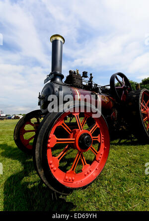 Un moteur à vapeur comme vu à Pickering, 2013 Ralley Vapeur Banque D'Images