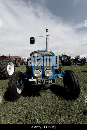 Un Supa Dexta tracteur comme vu à vapeur Ralley Pickering, North Yorkshire - 2013 Banque D'Images