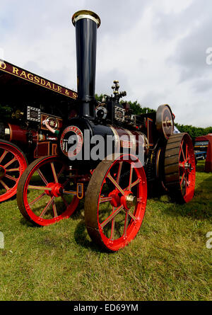 Le tracteur à vapeur Abigail comme vu à vapeur ralley Pickering, North Yorkshire, 2013 Banque D'Images