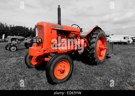 Un tracteur Nuffield, détectée à la vapeur Ralley Pickering, Yorkshire du Nord, 2013 Banque D'Images