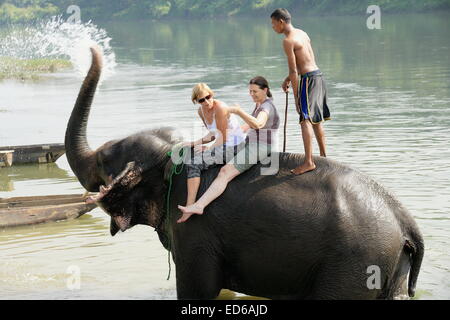 CHITWAN, NÉPAL - le 14 octobre : l'éléphant indien -Elephas maximus indicus- prend un bain avec les touristes et mahout après une journée de travail. Banque D'Images