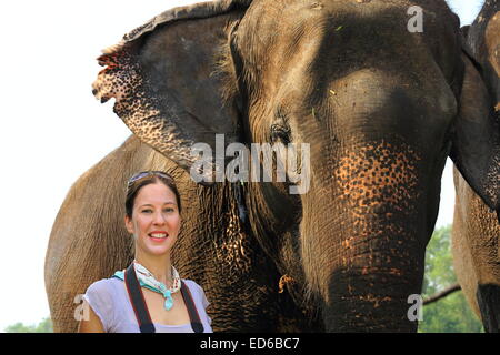 CHITWAN, NÉPAL - 14 OCTOBRE : éléphants indiens -Elephas maximus indicus- transport de touristes en safari à l'aube par Pk de Chitwan. Banque D'Images