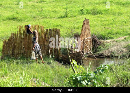 CHITWAN, NÉPAL - 14 OCTOBRE : femme porte dans un sac en plastique le pris de pêche d'un étang à côté de la rivière du Teraï sur Octobre Banque D'Images