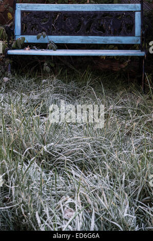 Givre Cristaux de glace sur des brins d'herbe en face d'un banc de jardin Banque D'Images