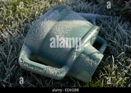 Grogey, fermanagh, Irlande 27 Déc 2014 début matin givre dans Fermanagh. Givre sur un arrosoir plastique vert, allongé sur l'herbe gelée Banque D'Images
