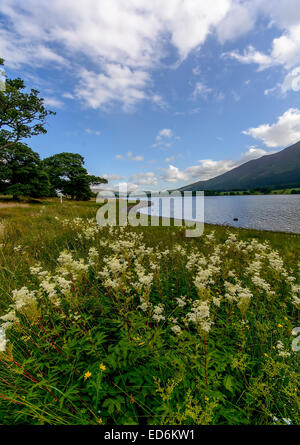 Bassenthwaite dans le Lake District, Cumbria, Parc National Banque D'Images