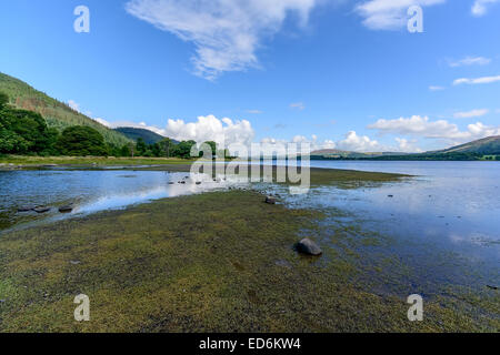 Bassenthwaite dans le Lake District, Cumbria, Parc National Banque D'Images