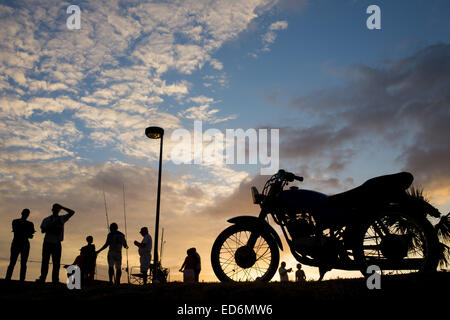 Santo Domingo, République dominicaine. Dec 29, 2014. Les poissons résidents dans la jetée du Juan Baron Square pendant le coucher du soleil à Santo Domingo, capitale de la République dominicaine, le 29 décembre 2014. © Fran Afonso/Xinhua/Alamy Live News Banque D'Images