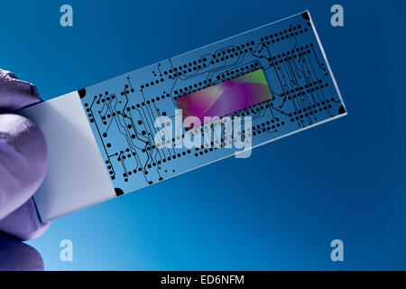 Laboratoire sur puce (LOC) est que l'appareil intègre des fonctions de laboratoire sur puce nano Banque D'Images