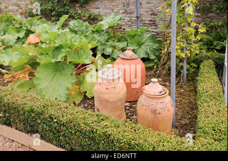 Forcer la rhubarbe Pots dans la Cuisine Jardin à Arlington Court, Barnstaple, Devon, England, UK Banque D'Images