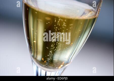 (Dossier) - Une archive photo datée du 10 février 2014 montre le dioxyde de pétillement dans un verre de vin mousseux à Freiburg, Allemagne. Photo : Peter Endig/dpa Banque D'Images