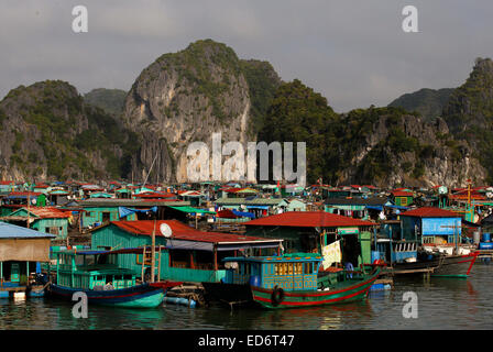 Cai Beo Village de pêcheurs flottant, Ile de Cat Ba, au Vietnam Banque D'Images