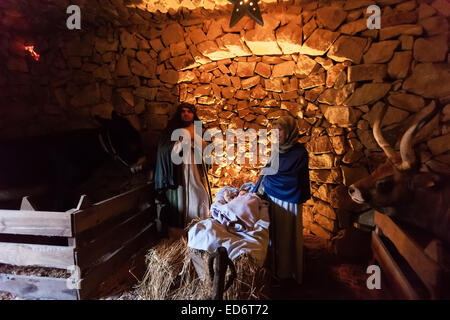 Priscos, Portugal. plus grand européen vivant ou crèche vivante. Sainte famille, l'enfant Jésus Christ, Marie et Joseph dans l'étable ou stable. voir plus d'informations /// naissance, la naissance, Madonna, Vierge Marie, saint, crèche, crèche, hay, noël, âne, vache, bibliques, reconstitution historique, la représentation historique, terre sainte, la culture populaire, l'art populaire, la tradition, le théâtre, les acteurs, les costumes, la religion, religieux, Bethléem, chrétienne, catholique, priscos, portugal, europe, Banque D'Images