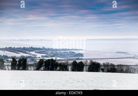 Wiltshire, Angleterre - 30 décembre 2014 - La cathédrale de Salisbury spire dans brume du matin avec le gel sur les bas entourant Salisbury Crédit : John Eccles/Alamy Live News Banque D'Images