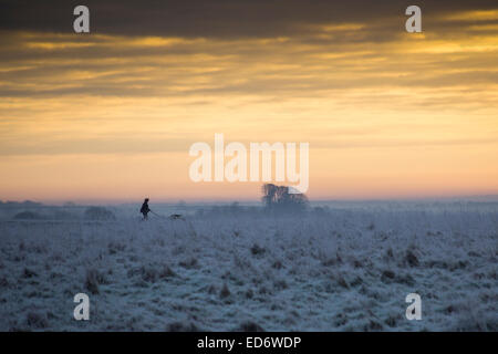 Salisbury, Wiltshire, Royaume-Uni. 30 Décembre, 2014. Météo britannique. Dog walker dans le champ couvert de givre au lever du soleil Crédit : John Eccles/Alamy Live News Banque D'Images