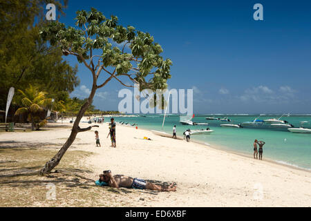 L'île Maurice, le Morne plage publique, Man reading book à l'ombre de l'arbre Banque D'Images