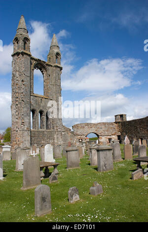 Royaume-uni, Ecosse, St Andrews, St Andrews Cathedral ruins Banque D'Images