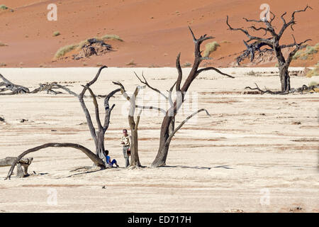 Casseroles en argile, arbres et sable morts Camel thorn (acacia), Deadvlei, alias DeadVlei ou Dead VLE, Sossusvlei, parc national Namib-Naukluft, Namibie Banque D'Images