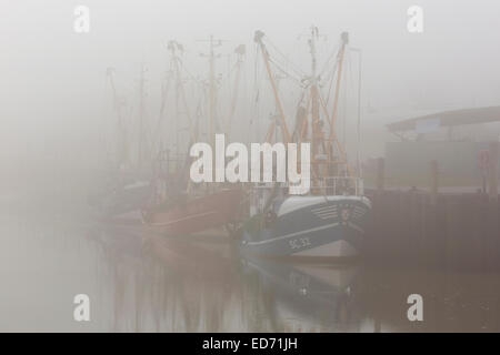 Port de Husum avec du brouillard, de la mer du Nord Frise du Nord, Schleswig Holstein, Allemagne, Europe Banque D'Images