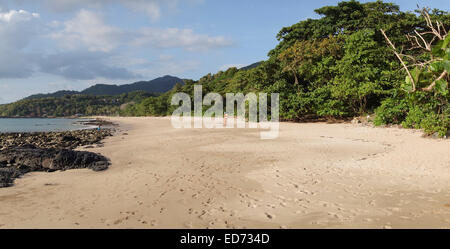 Plage avec derrière la forêt tropicale, Ko Koh Lanta, Krabi, Thaïlande. En Asie du sud-est. Banque D'Images