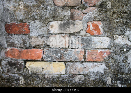 Mais coloré traversé les briques utilisées pour la réparation d'un au-dessus du sol dans la chambre forte d'inhumation Cimetière St-louis numéro un dans la Nouvelle Orléans, Louis Banque D'Images