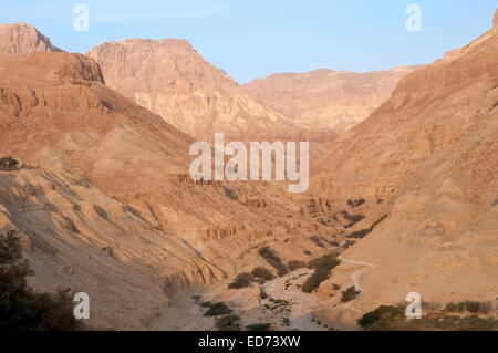 Wadi Arugot dans le désert de Judée, en Israël Banque D'Images