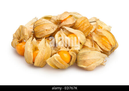 Physalis isolated Banque D'Images