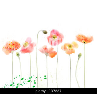 Peinture numérique de fleurs de pavot rouge Banque D'Images