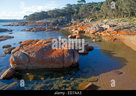 Côte au Coles Bay sur la péninsule de Freycinet Banque D'Images