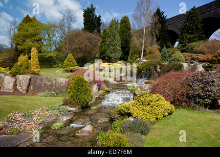 Les cascades de Kilver Court Gardens au printemps, Glastonbury, Somerset, England, UK Banque D'Images
