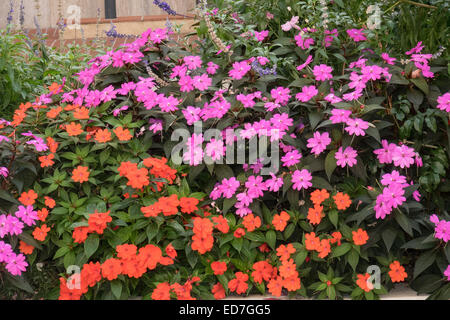 Fleurs colorées Monte Carlo Monaco Banque D'Images