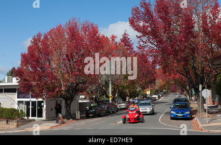 Trois roues de vélo de randonnée à admirer les couleurs de l'automne Blackheath Central Tablelands New South Wales Australie Banque D'Images