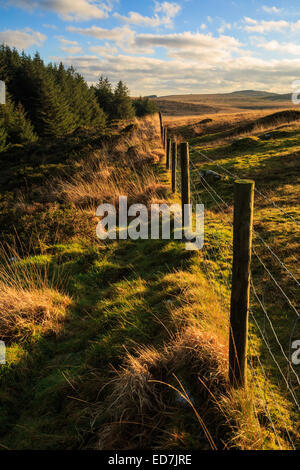 Soleil de l'après-midi sur l'Est de la Lande de Bodmin Cornwall Banque D'Images