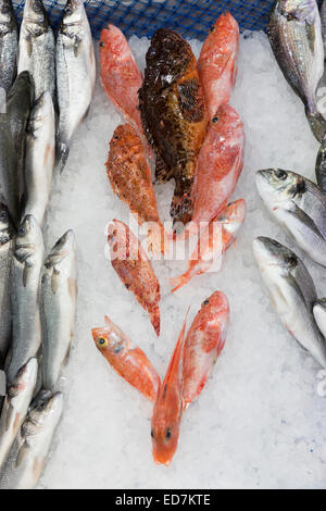 Le poisson frais sur la vente au marché alimentaire dans le quartier de Kadikoy sur la rive asiatique d'Istanbul, est de la Turquie Banque D'Images