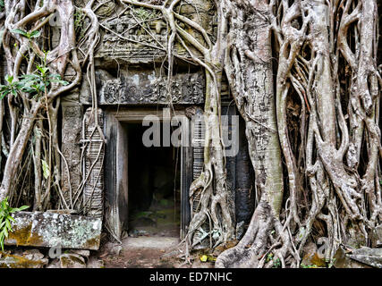 Porte au temple Ta Prohm envahi par les racines des arbres à l'Étrangleur Fig Angkor, Cambodge Banque D'Images