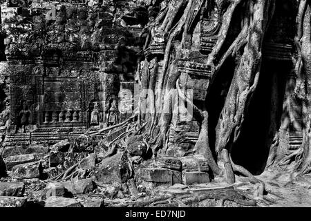 L'Est de l'Gophura passerelle sur Ta Som temple envahi par strangler fig tree roots, Angkor, Cambodge Banque D'Images