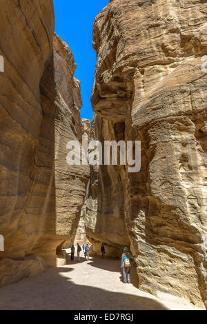 Le Siq, l'étroit canyon qui sert de couloir d'entrée à la ville cachée de Pétra, en Jordanie. Banque D'Images