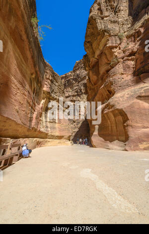 Le Siq, l'étroit canyon qui sert de couloir d'entrée à la ville cachée de Pétra, en Jordanie. Banque D'Images