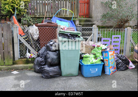 Gwynedd Conseil trois semaine Bin Collection Dolgellau, Gwynedd, Pays de Galles, UK, 31/12/2014 détritus accumulés au cours de la période de Noël Banque D'Images