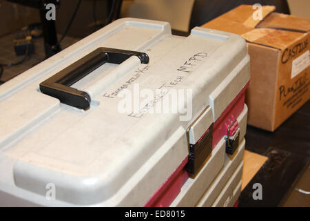 Kit d'empreintes de police Technicien preuve fort Banque D'Images